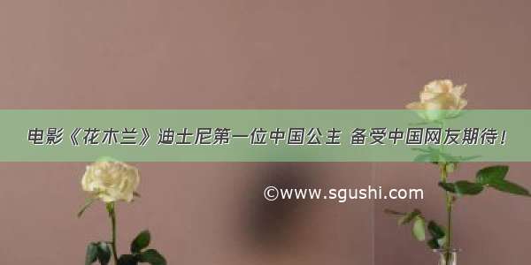 电影《花木兰》迪士尼第一位中国公主 备受中国网友期待！