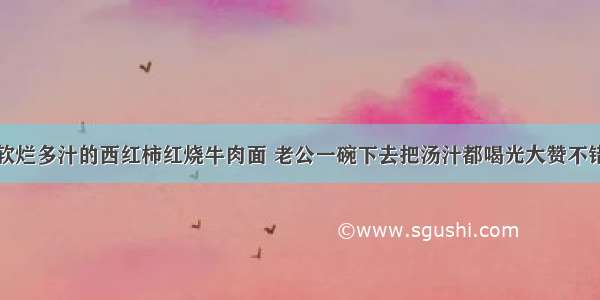 软烂多汁的西红柿红烧牛肉面 老公一碗下去把汤汁都喝光大赞不错