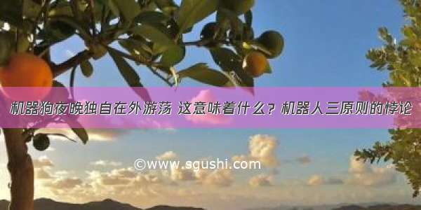 机器狗夜晚独自在外游荡 这意味着什么？机器人三原则的悖论