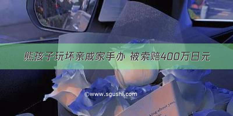 熊孩子玩坏亲戚家手办 被索赔400万日元