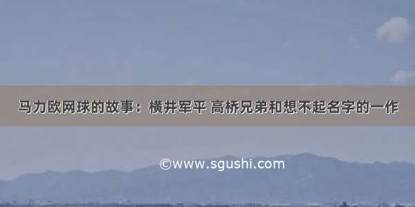 马力欧网球的故事：横井军平 高桥兄弟和想不起名字的一作