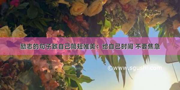 励志的句子致自己简短唯美：给自己时间 不要焦急