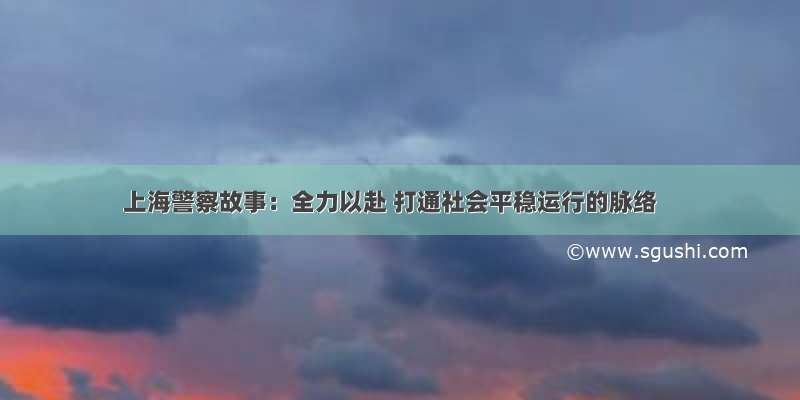 上海警察故事：全力以赴 打通社会平稳运行的脉络