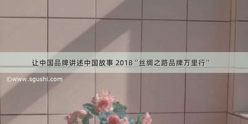 让中国品牌讲述中国故事 2018“丝绸之路品牌万里行”