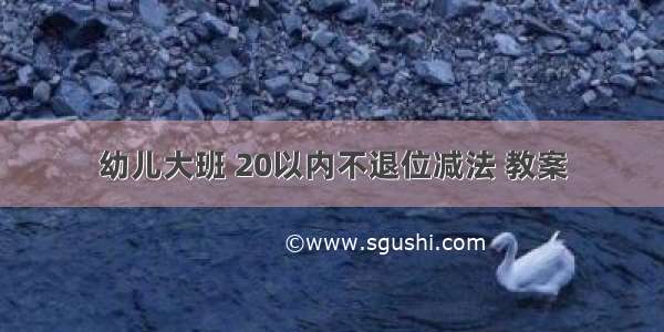 幼儿大班 20以内不退位减法 教案