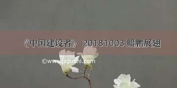 《中国建设者》 20181003 鲲鹏展翅