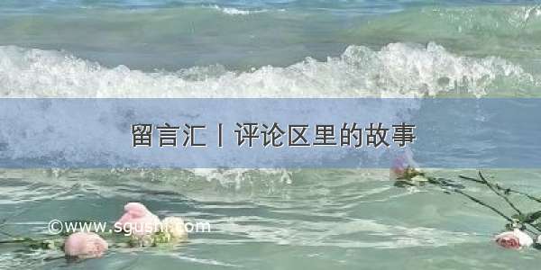 留言汇丨评论区里的故事