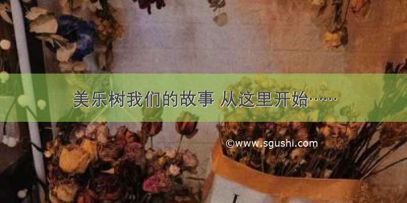 美乐树我们的故事 从这里开始……