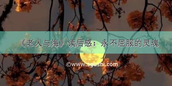 《老人与海》读后感：永不屈服的灵魂