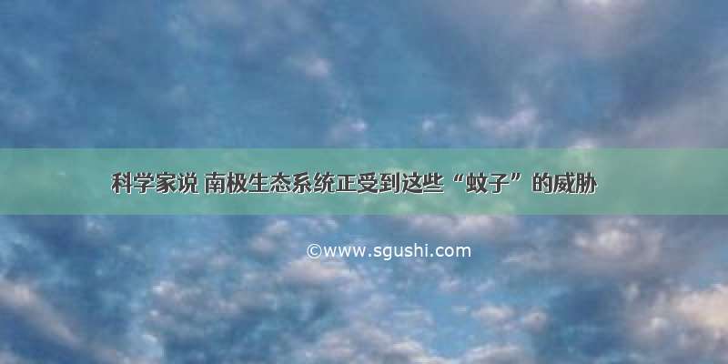 科学家说 南极生态系统正受到这些“蚊子”的威胁