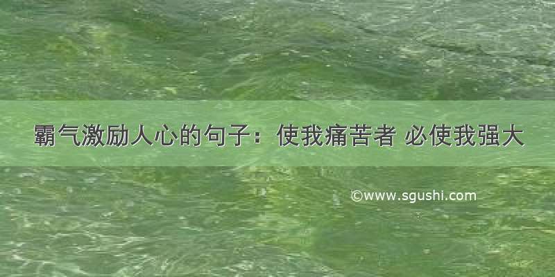 霸气激励人心的句子：使我痛苦者 必使我强大