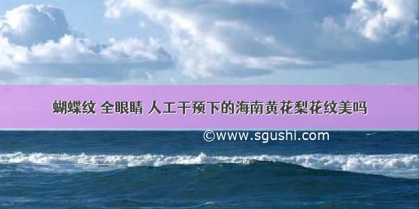 蝴蝶纹 全眼睛 人工干预下的海南黄花梨花纹美吗