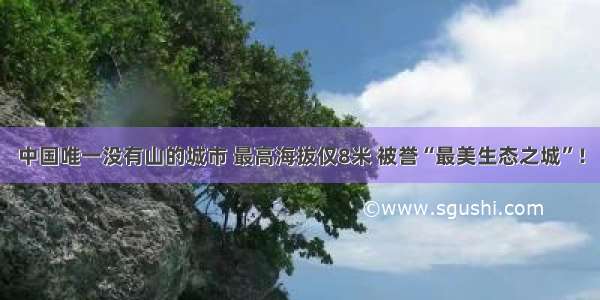 中国唯一没有山的城市 最高海拔仅8米 被誉“最美生态之城”！