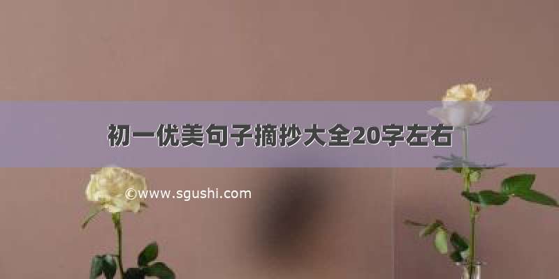 初一优美句子摘抄大全20字左右