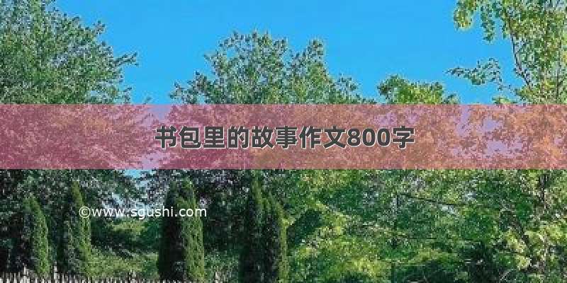 书包里的故事作文800字