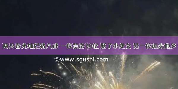 两只春光灿烂猪八戒 一位票房30亿 娶了小龙女 另一位远走他乡