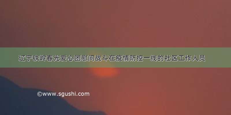 辽宁铁岭春光爱心团慰问战斗在疫情防控一线的社区工作人员