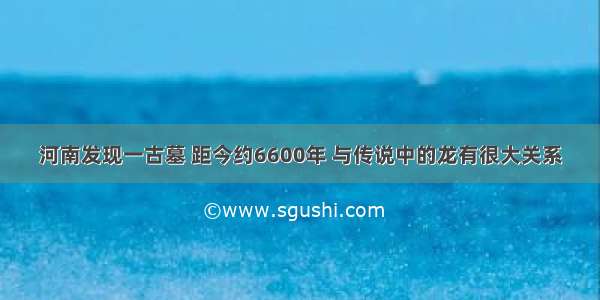 河南发现一古墓 距今约6600年 与传说中的龙有很大关系