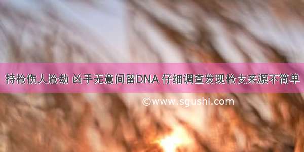 持枪伤人抢劫 凶手无意间留DNA 仔细调查发现枪支来源不简单