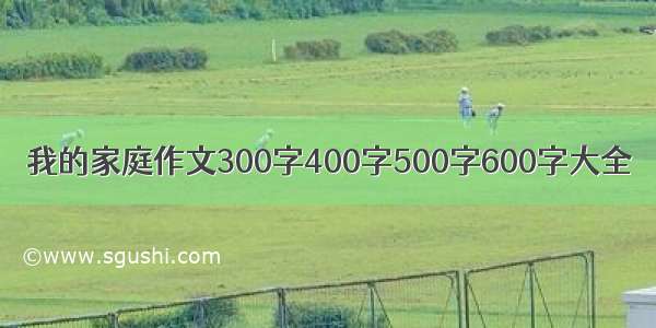 我的家庭作文300字400字500字600字大全