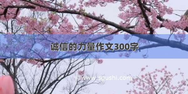 诚信的力量作文300字