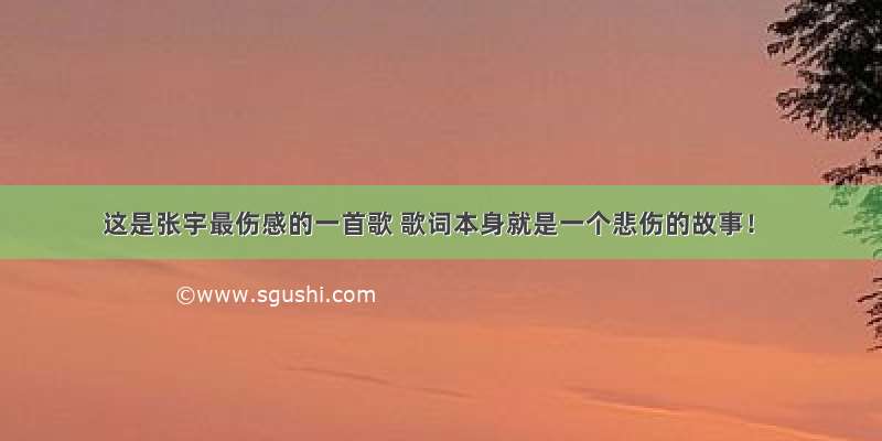 这是张宇最伤感的一首歌 歌词本身就是一个悲伤的故事！