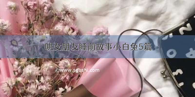 哄女朋友睡前故事小白兔5篇