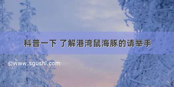 科普一下 了解港湾鼠海豚的请举手