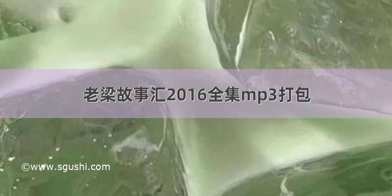 老梁故事汇2016全集mp3打包