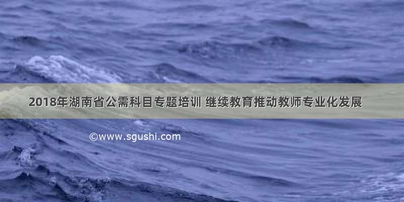 2018年湖南省公需科目专题培训 继续教育推动教师专业化发展