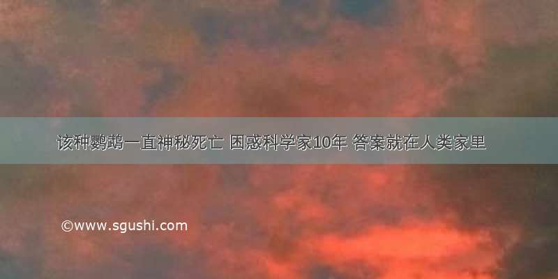 该种鹦鹉一直神秘死亡 困惑科学家10年 答案就在人类家里