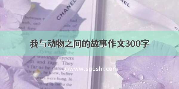 我与动物之间的故事作文300字