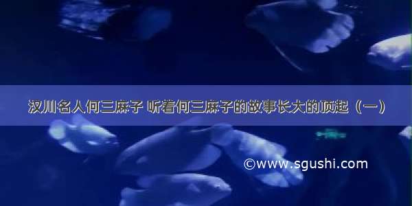 汉川名人何三麻子 听着何三麻子的故事长大的顶起（一）