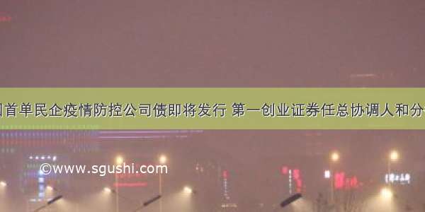 全国首单民企疫情防控公司债即将发行 第一创业证券任总协调人和分销商