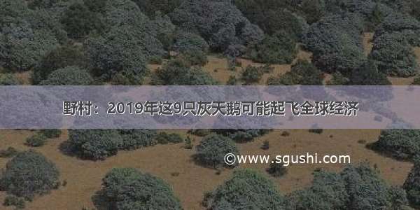 野村：2019年这9只灰天鹅可能起飞全球经济