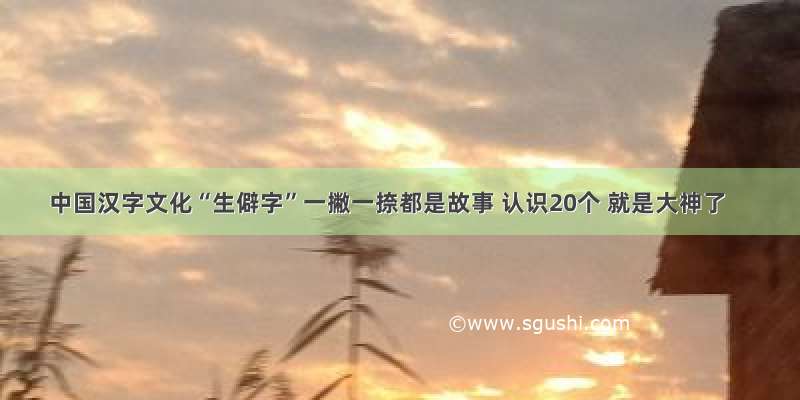 中国汉字文化“生僻字”一撇一捺都是故事 认识20个 就是大神了