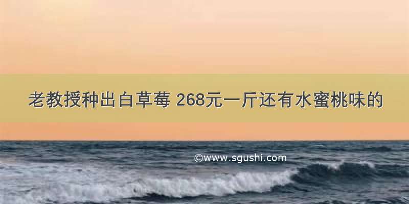 老教授种出白草莓 268元一斤还有水蜜桃味的