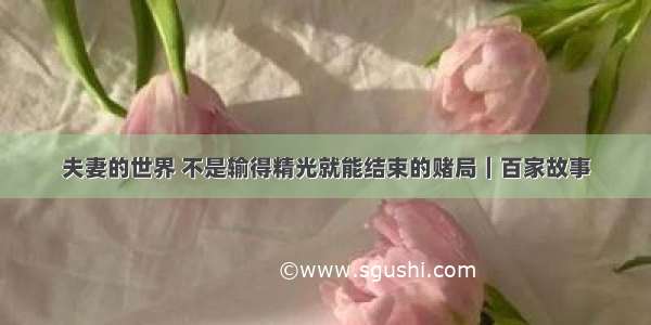 夫妻的世界 不是输得精光就能结束的赌局｜百家故事