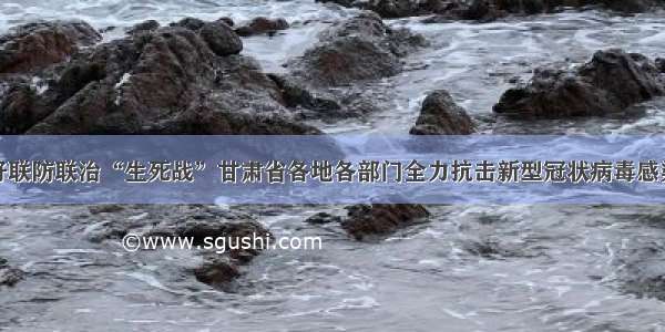 全力以赴打好联防联治“生死战”甘肃省各地各部门全力抗击新型冠状病毒感染的肺炎疫情