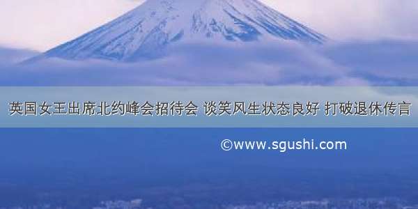 英国女王出席北约峰会招待会 谈笑风生状态良好 打破退休传言