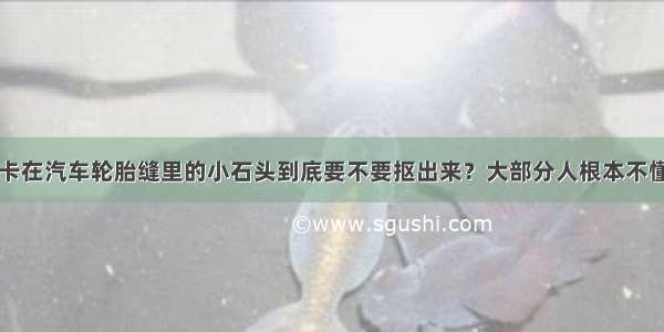 卡在汽车轮胎缝里的小石头到底要不要抠出来？大部分人根本不懂