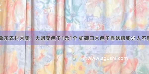 冀东农村大集：大姐卖包子1元1个 如碗口大包子靠啥赚钱让人不解