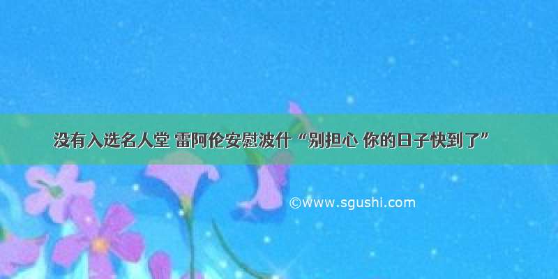 没有入选名人堂 雷阿伦安慰波什“别担心 你的日子快到了”