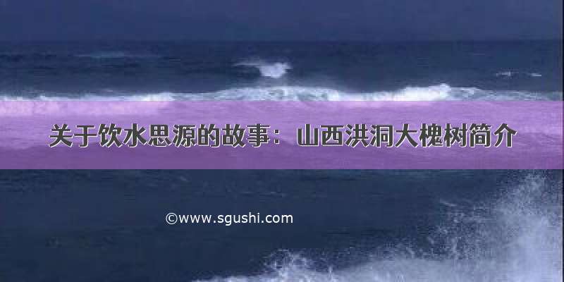 关于饮水思源的故事：山西洪洞大槐树简介