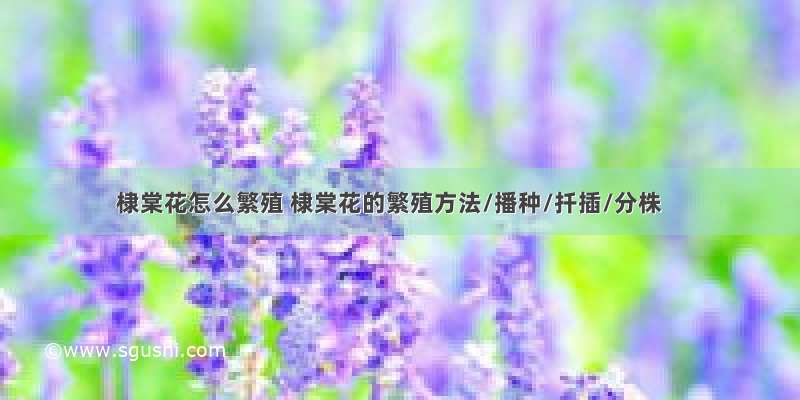 棣棠花怎么繁殖 棣棠花的繁殖方法/播种/扦插/分株