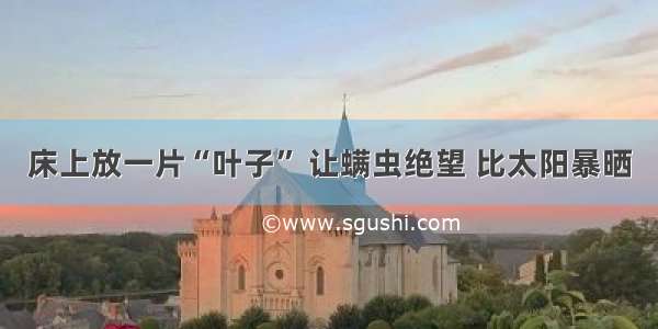 床上放一片“叶子” 让螨虫绝望 比太阳暴晒