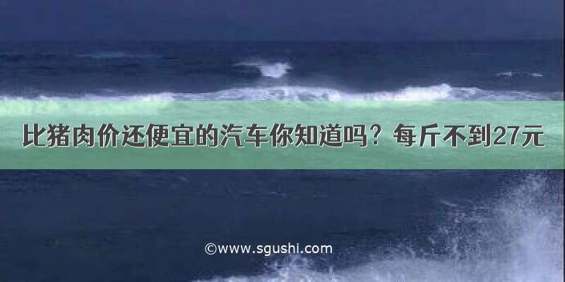 比猪肉价还便宜的汽车你知道吗？每斤不到27元