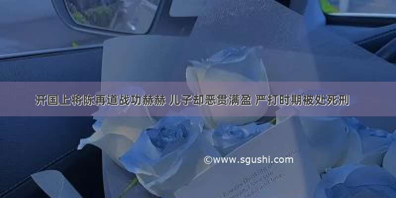 开国上将陈再道战功赫赫 儿子却恶贯满盈 严打时期被处死刑