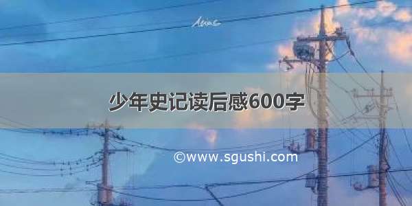 少年史记读后感600字