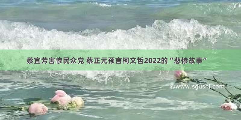 蔡宜芳害惨民众党 蔡正元预言柯文哲2022的“悲惨故事”